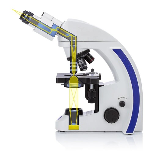 Microscopes